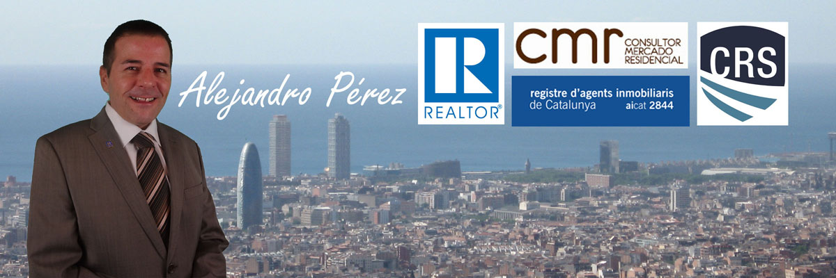 Alejandro Perez Irus Consultor y Mentor Inmobiliario